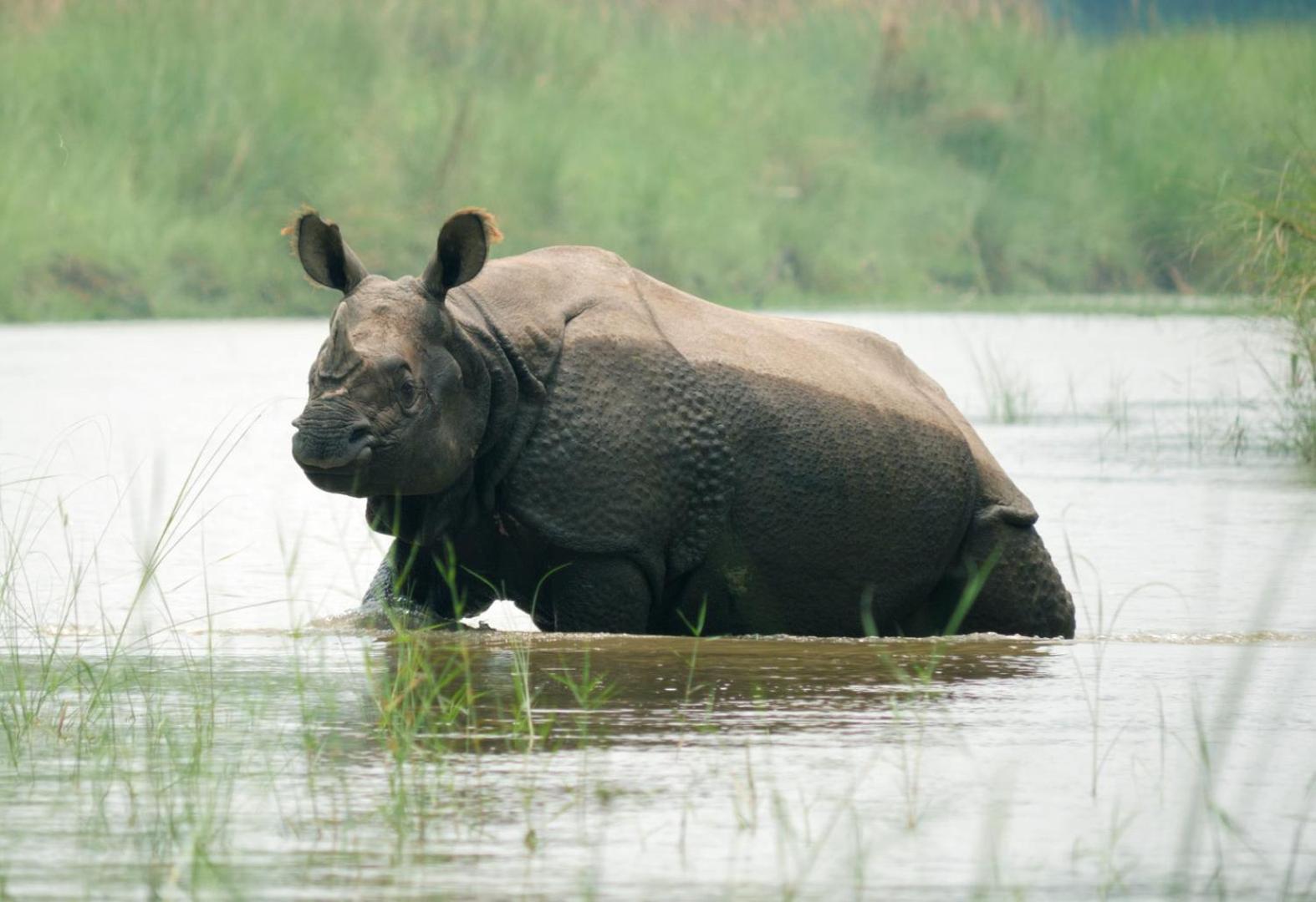 فندق Family House - Bardia National Park Bardiya المظهر الخارجي الصورة